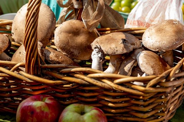 champignons et pommes