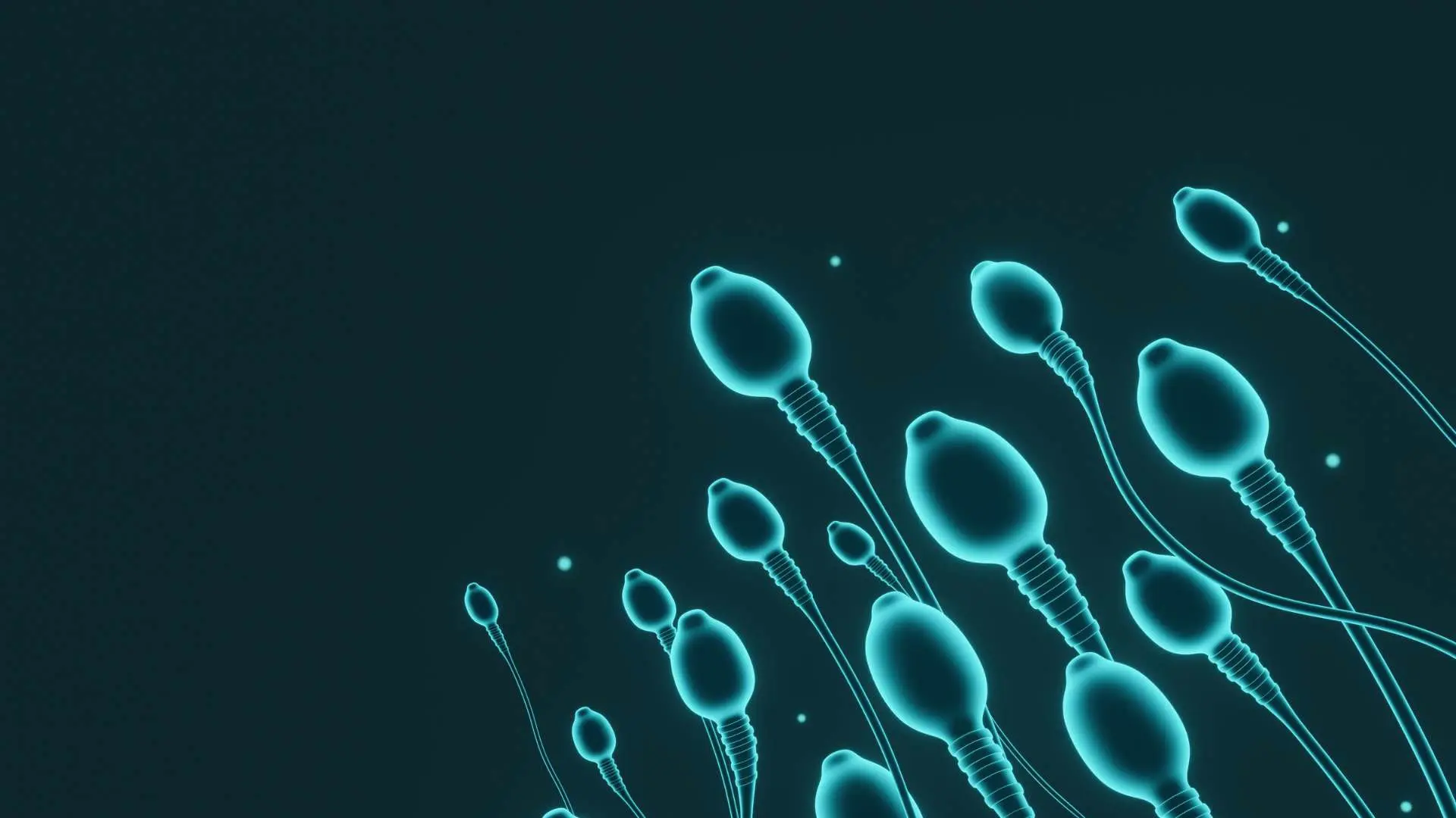 Vue 3D spermatozoïdes bleus sur fond noir