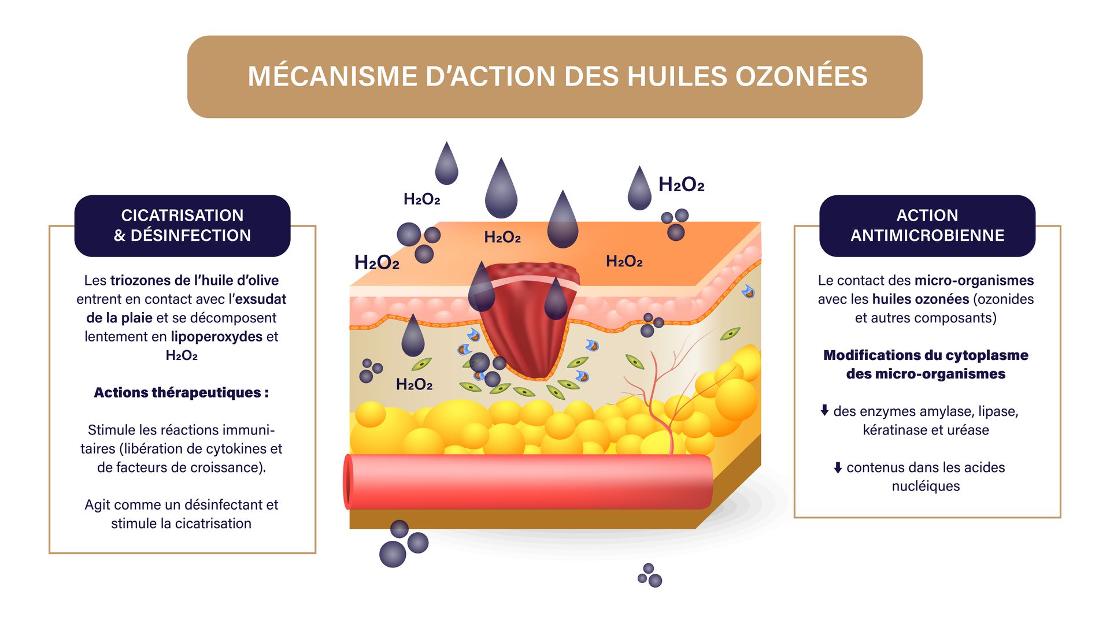 schéma de huile ozonée